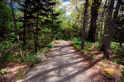 Boothbay Harbor, ME - May 2025